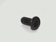 119A SCAR LOWER RAIL TORX SCREW T25